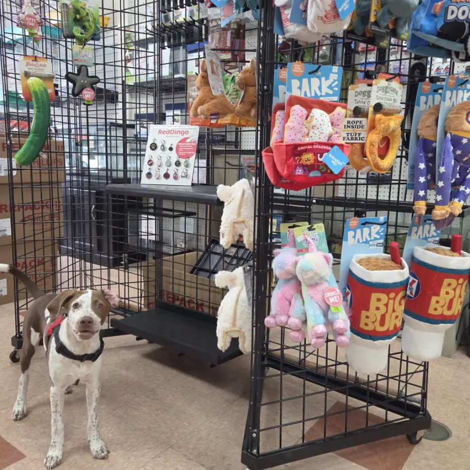 Pet food and supplies display at Noah's Ark Pet Shoppe in Effingham, IL