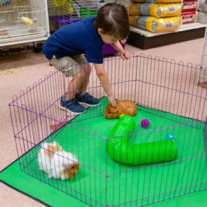 Pet Store (19)