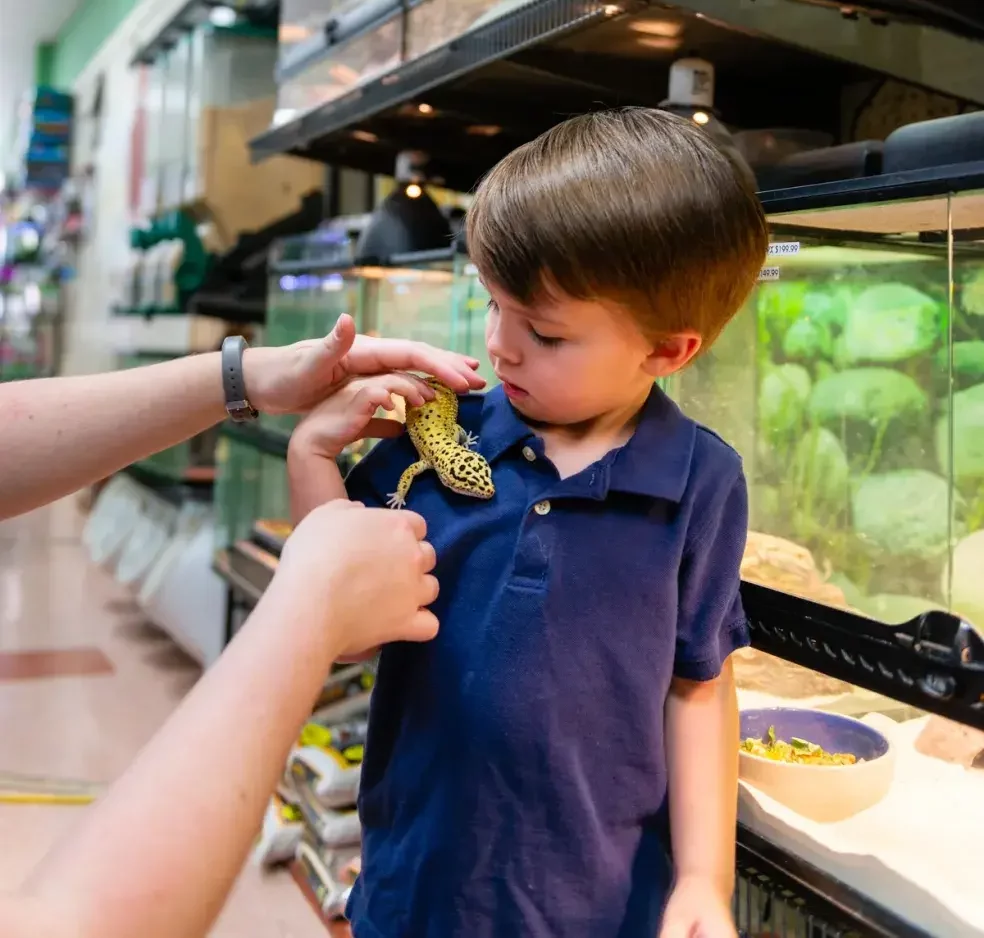 Interior of Noah's Ark Pet Shoppe pet store in Effingham, IL