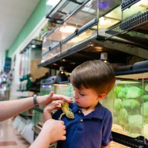 Pet Store (20)