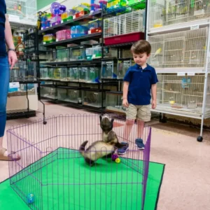 Pet Store (21)