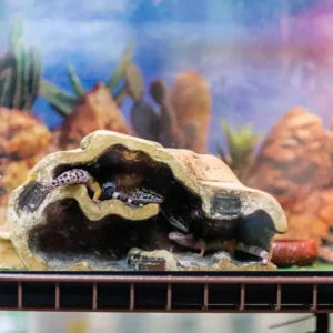 Pet Store (25)