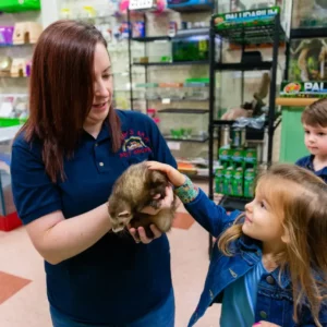 Pet Store (3)